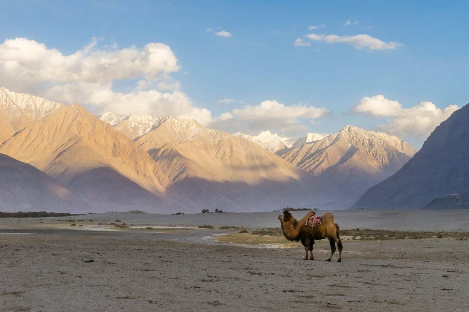 Leh → Pangong Lake → Hanle → Tso Moriri → Leh